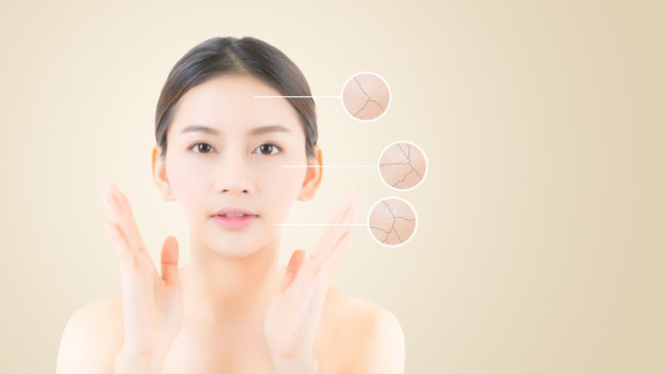 ผิวหน้าขาดความชุ่มชื่นไม่เรียบเนียน ใช้การ์นิเย่ วิปโฟมและบำรุงผิวหน้าด้วยเอสเซนส์ Garnier