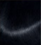 black_preview