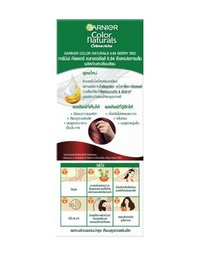 2024GCN_SleevThaiModel_6-64