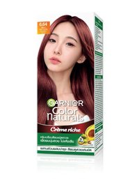 2024GCN_SleevThaiModel_6-64