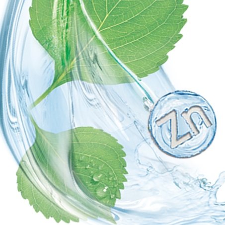 วิช ฮาเซล