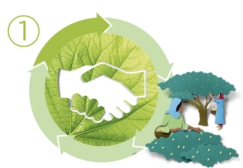 Garnier commits to Sustainable Green Beauty: sustainability through solidarity sourcing