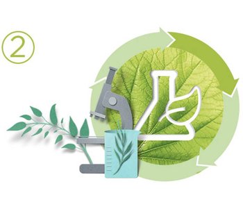 Garnier commits to Sustainable Green Beauty: sustainability with green Sciences and biodegradability