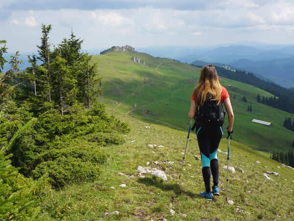 เดินป่า