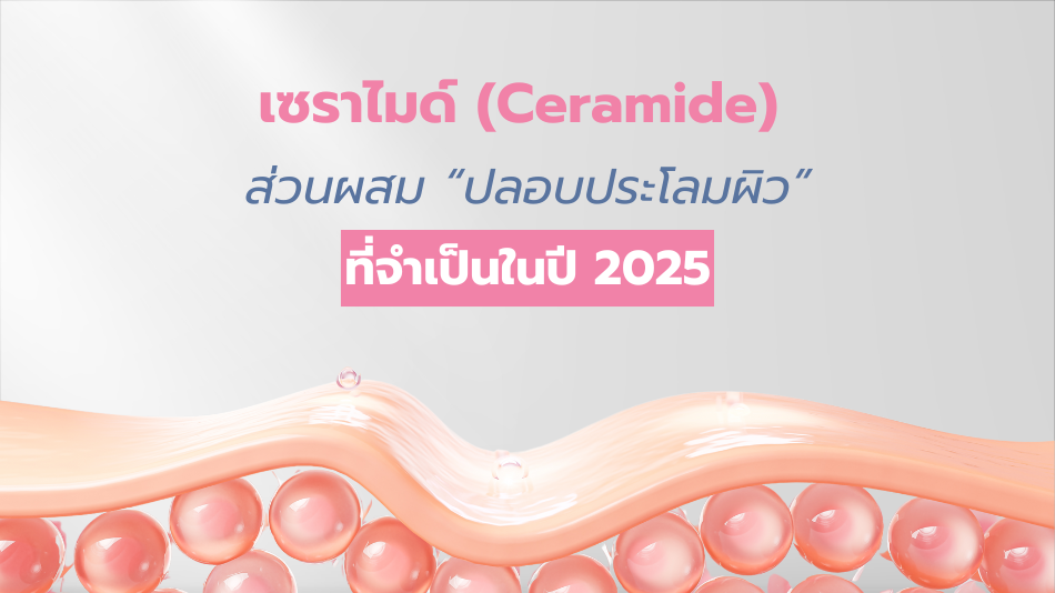 เซราไมด์