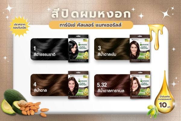 สีปิดผมหงอก Garnier