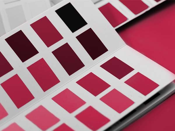 สีผม pantone 2023