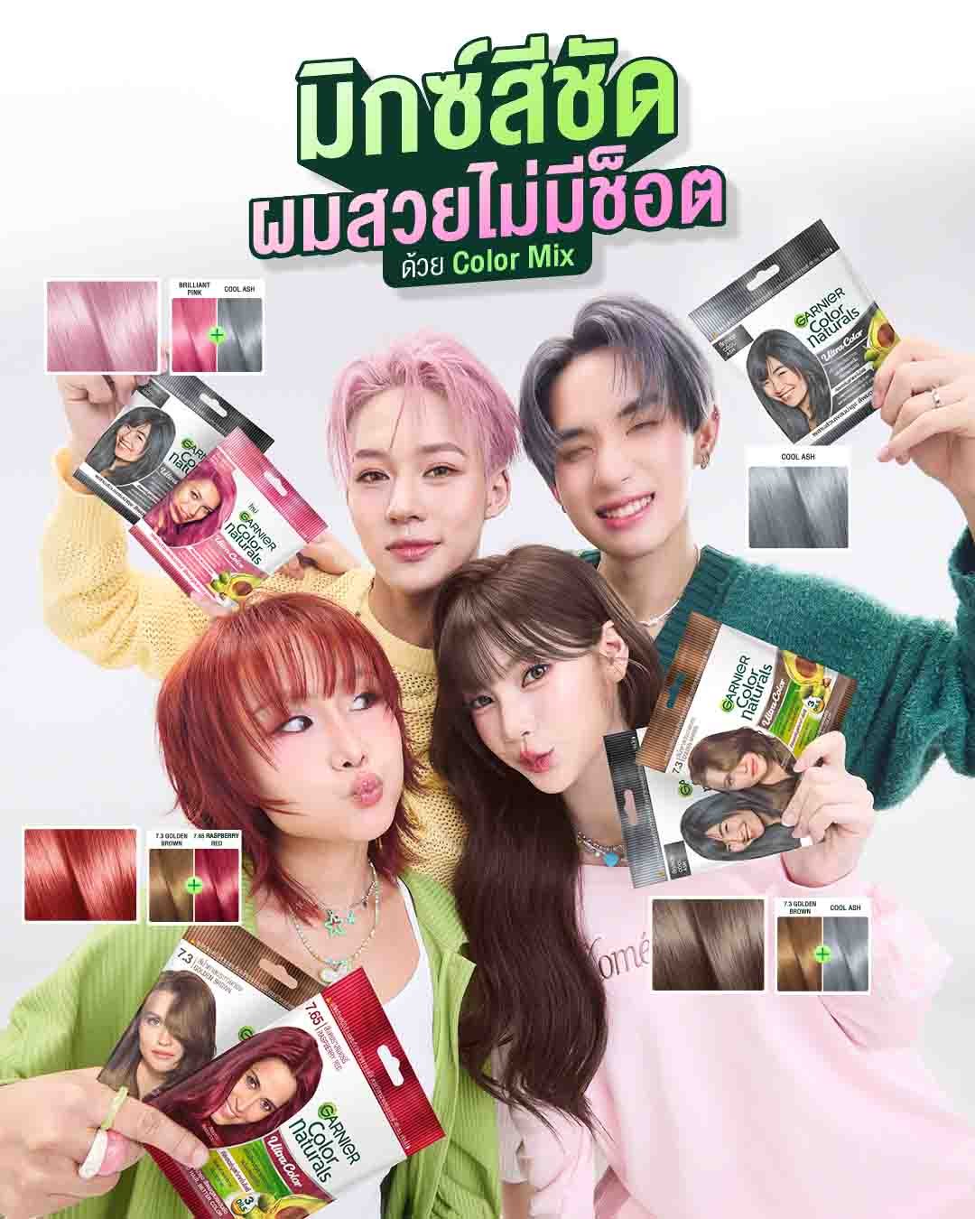 สูตรมิกซ์สีผมการ์นิเย่